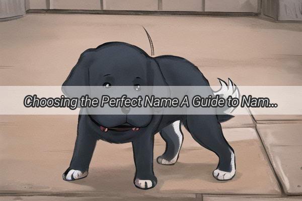 Choosing the Perfect Name A Guide to Naming Your Canine Companion